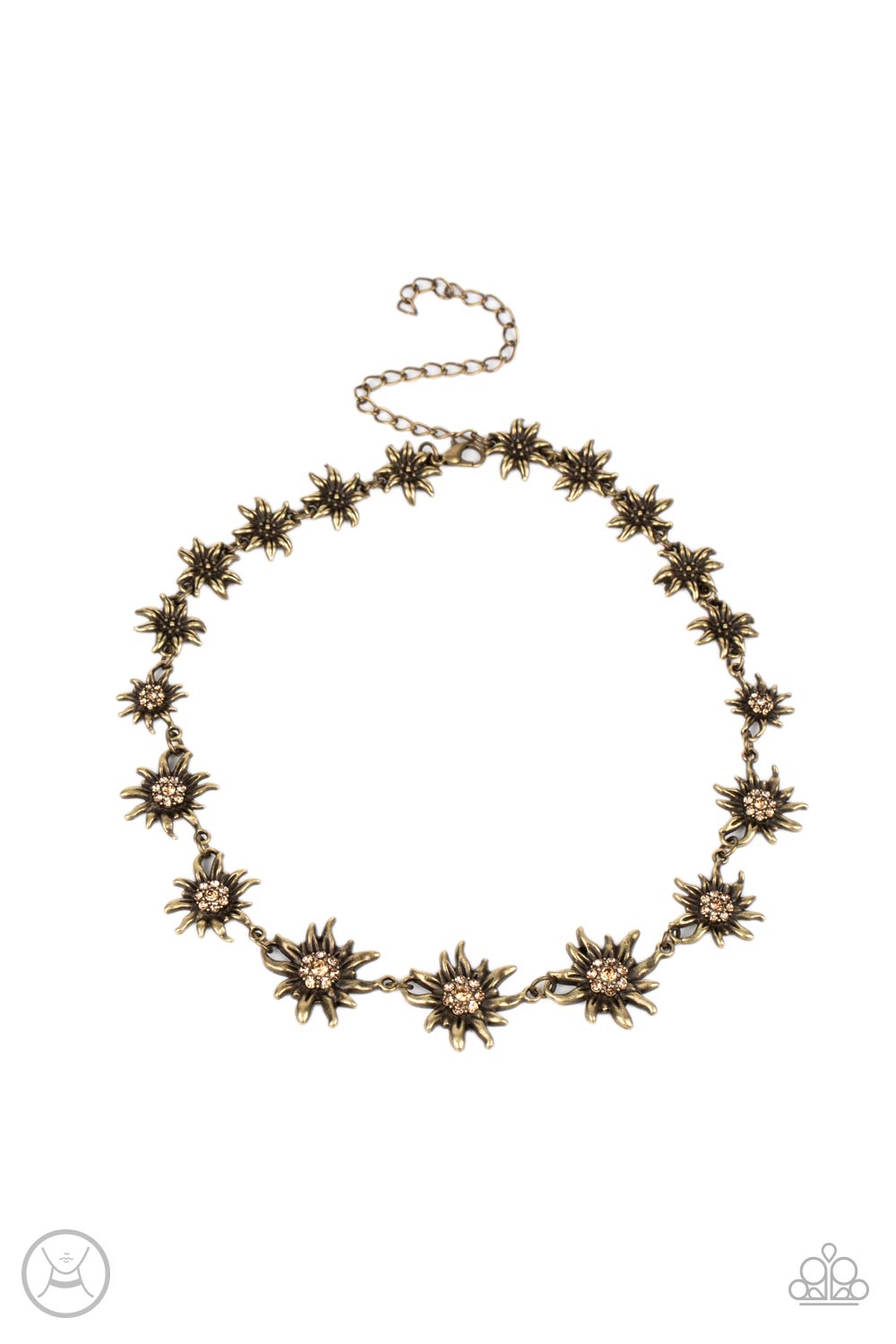 brought-to-you-by-blingflingbykat-get-up-and-grow-brass-necklace-paparazzi-accessories-