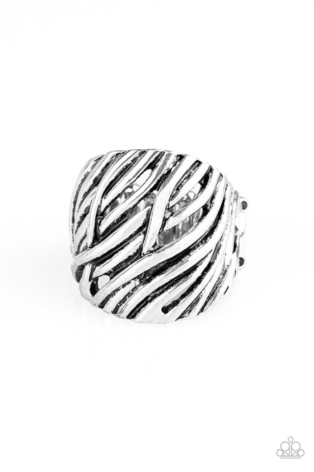 brought-to-you-by-blingflingbykat-really-riveting-silver-ring-paparazzi-accessories-