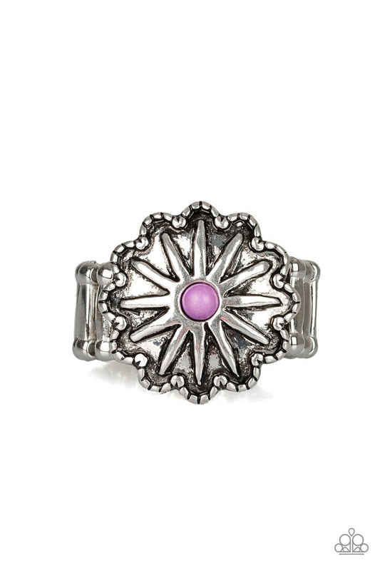 brought-to-you-by-blingflingbykat-stone-sensei-purple-ring-paparazzi-accessories-