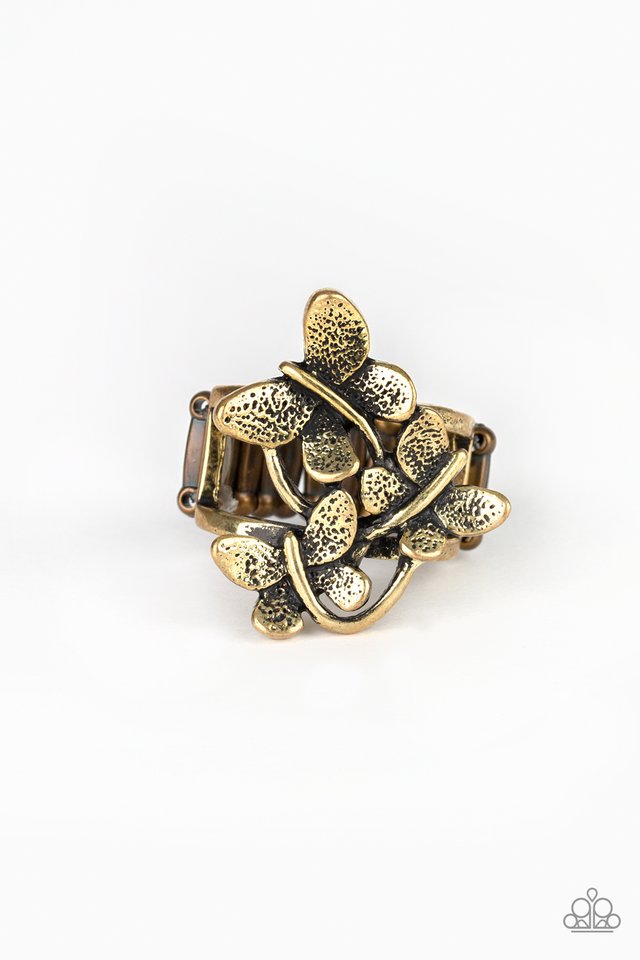 brought-to-you-by-blingflingbykat-full-of-flutter-brass-ring-paparazzi-accessories-