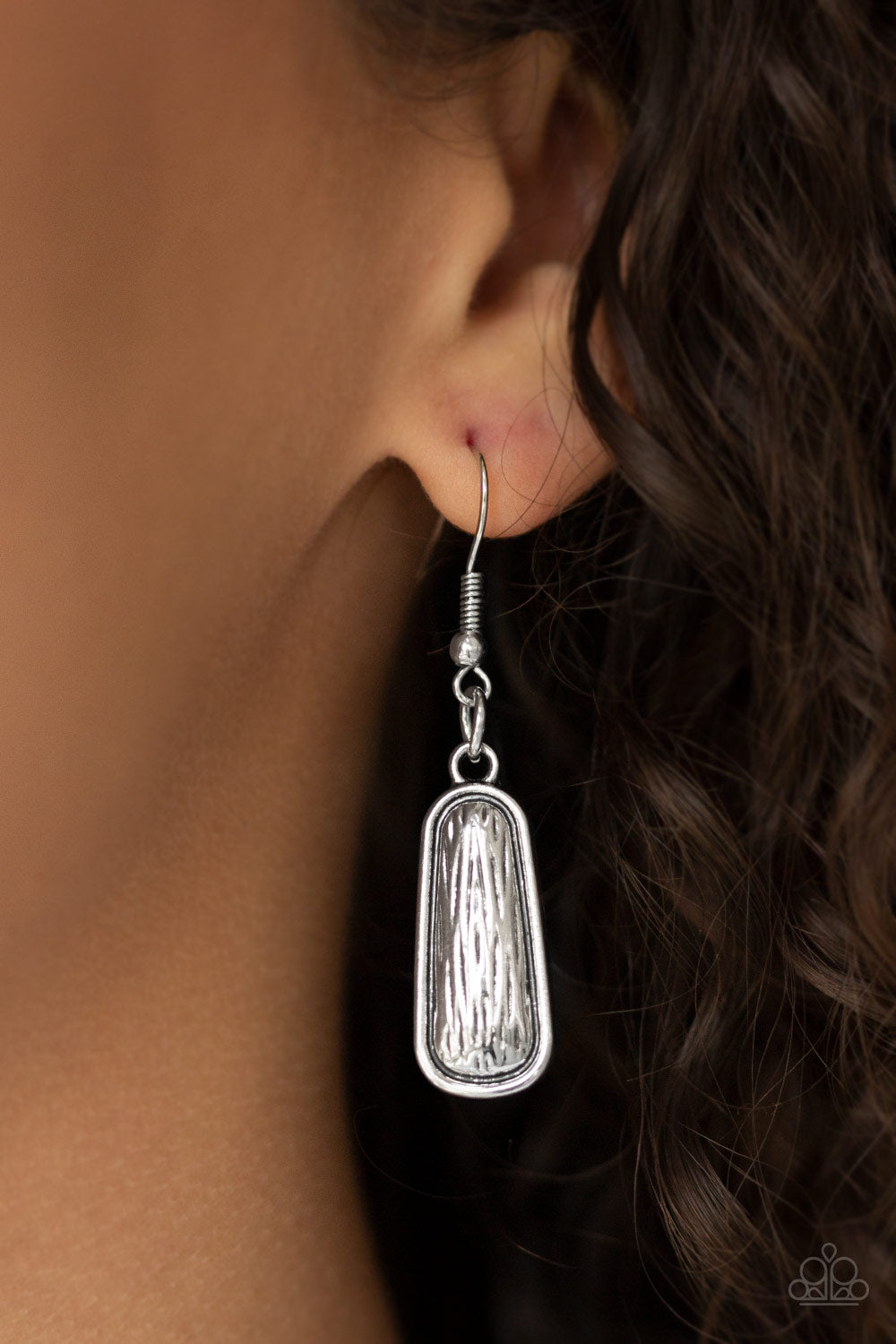 Paparazzi Accessories ✽ MANE Up - Silver Necklace✽Flat Rate Ship $4.50✽