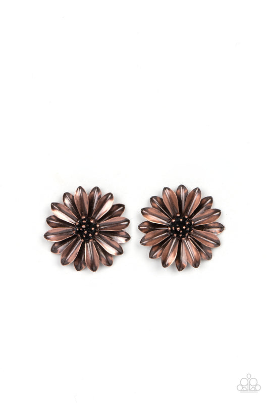brought-to-you-by-blingflingbykat-daisy-dilemma-copper-post earrings-paparazzi-accessories-