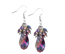 Load image into Gallery viewer, Paparazzi Accessories ✽Well Versed in Sparkle - Purple Multi Earrings✽Flat Rate Ship $4.50✽ - Image #3
